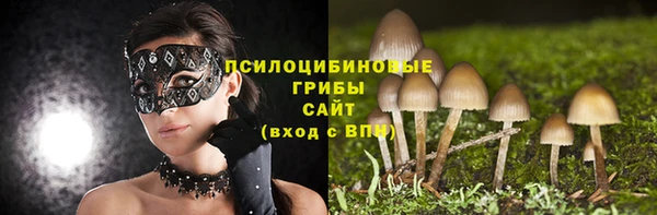 mdpv Михайловск