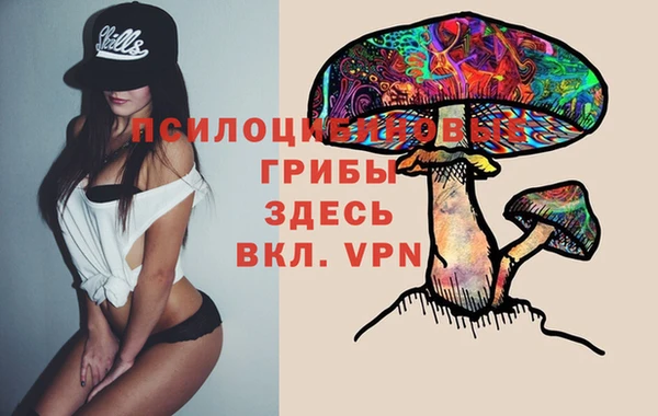 spice Михайловка